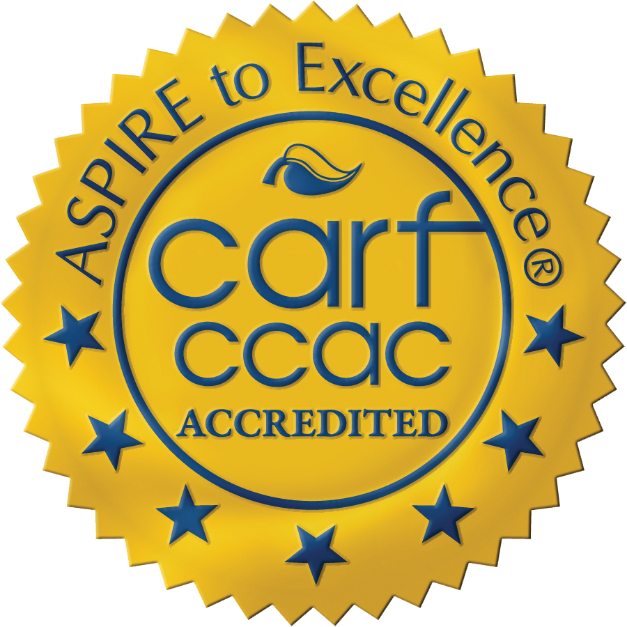 Gold Seal - Carf Accreditaiton image